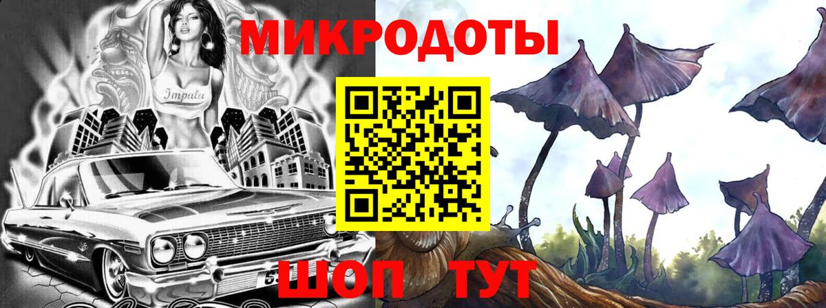 Галлюциногенные грибы Psilocybine cubensis Реутов